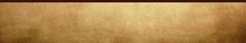 tipico header