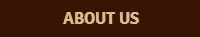 about us page